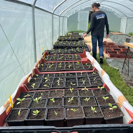 De La Ferme De La Chaise 3* Saint-Antonin-de-Sommaire